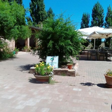 Agriturismo I Bosconi Чезена Екстер'єр фото