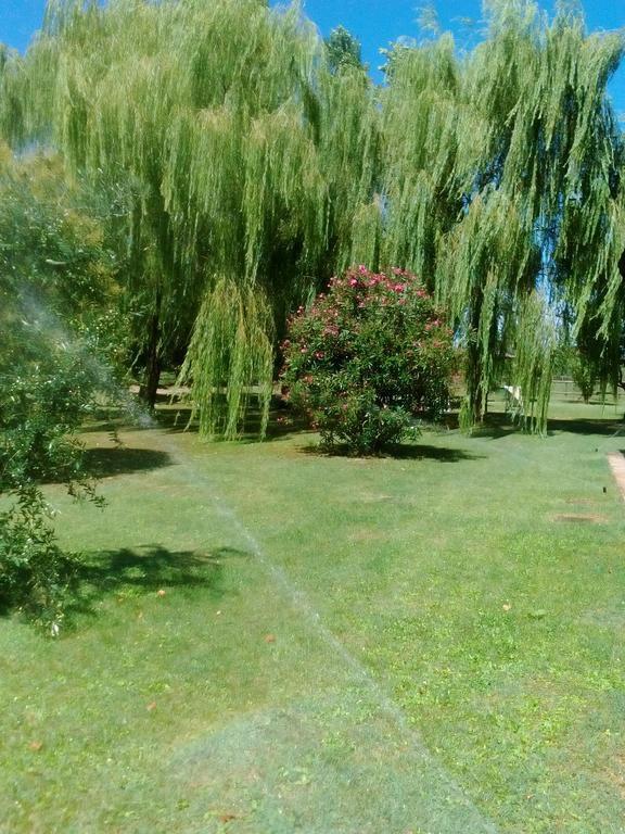 Agriturismo I Bosconi Чезена Екстер'єр фото