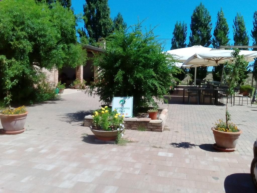 Agriturismo I Bosconi Чезена Екстер'єр фото